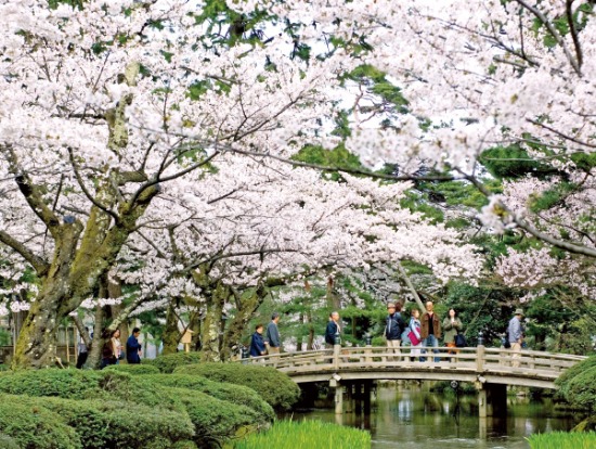 일본의 3대 정원으로 꼽히는 이시카와현의 ‘겐로쿠엔’  