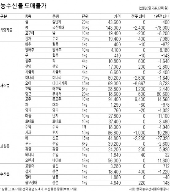 청양고추 값 반토막…풋고추보다 싸