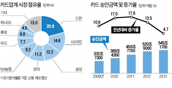 "분위기 안좋아"…카드사 신상품 '대기발령'