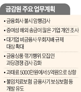 금감원 2014년 업무계획…암행검사로 금융사고 차단, 신흥국에 고액 송금 조사