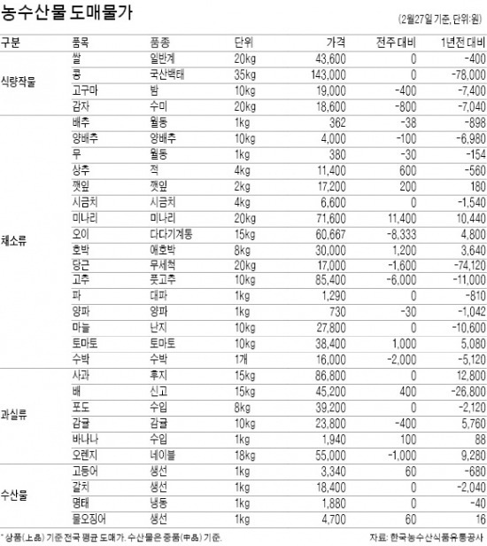 국산 고등어 가격 25% 올라