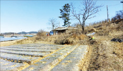 충남 서산시 바다 조망 농가주택 