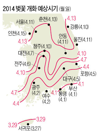 여의도 벚꽃 4월 15일 절정