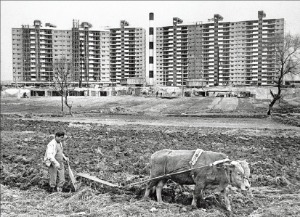 < 강남 1.0> 1978년 당시 압구정동 현대아파트 주변의 모습. 한경DB