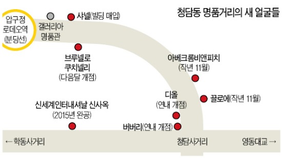 샤넬 입성…청담동 명품街 더 화려해진다