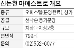 [유망 분양현장] '신논현 마에스트로' 상가, 외국인 성형외과 입점 '뷰티 상권'…10년차 수익률 年 11%