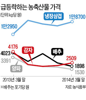 널뛰는 농축산물값…정부 대책 '역부족'