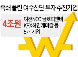 [속도 내는 규제개혁] 여수산단 4조 투자 '걸림돌' 뽑혔다