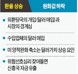 [원화강세 언제까지] 환율 1050원선 붕괴 바라만 본 정부…원화강세 가팔라지나