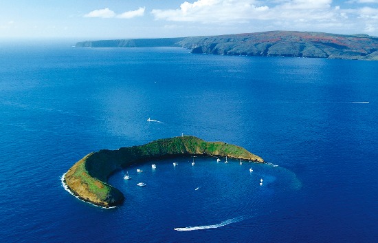 하와이 마우이섬 앞바다에 있는 몰로키니섬은 스노클링 장소로 유명하다.