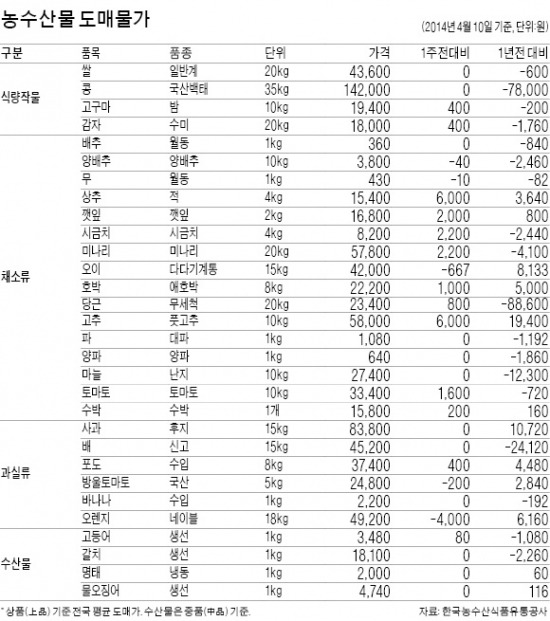 배추·양파 풍작인데…수요 부진에 가격 하락