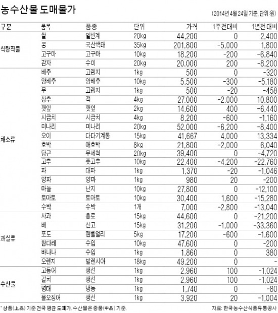 [농수산물 시세] 망고 인기 껑충…수입량 증가로 가격 하락