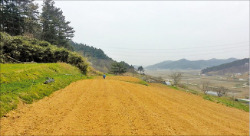 충남 태안군 원북면 대지와 밭 