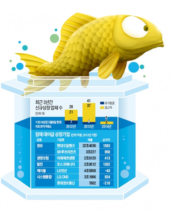 [마켓인사이트] 10조원대 '황금魚' 왔다…IPO 물꼬 터지나