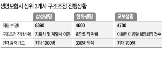 교보생명도…짐싸는 생보사 직원들