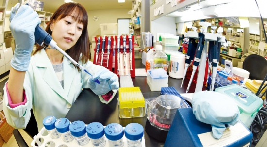 디엔에이링크 연구원이 13일 서울 풍납동 본사 연구실에서 유전자 검사를 하고 있다. 강은구 기자 egkang@hankyung.com