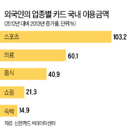 골프장·성형외과서 中관광객 카드 '팍팍'