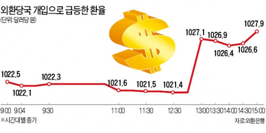 당국, 점심시간 기습 개입…환율 큰 폭 반등