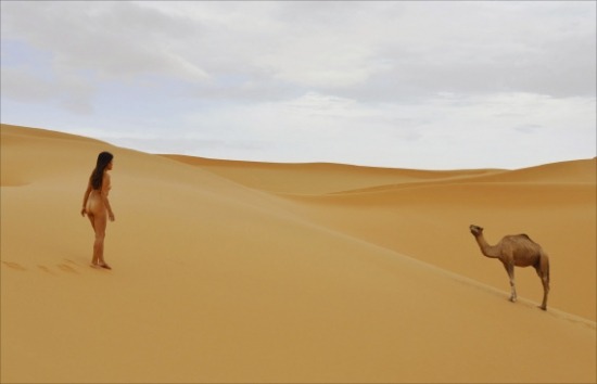 김미루 ‘낙타가 사막으로 간 까닭은-Erg-Chebbi-Morroco-Sahara-3’(2013년)