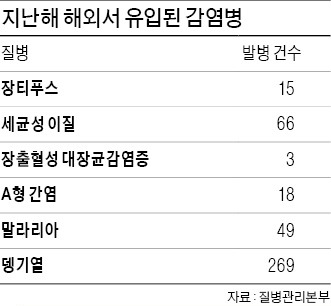 브라질 월드컵 원정응원 간다고?…뎅기열 조심하세요