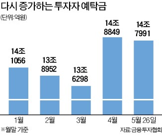 실탄 쌓고 기회 엿보는 개미들