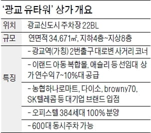 대기업 유명 브랜드 입점, 초역세권 상가 분양