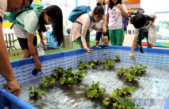 전라북도가 마련한 농촌관광 콘텐츠 체험장을 방문한 내방객들이 '미꾸라지 잡기 체험'에 동참하고 있다./ 사진=한경DB.