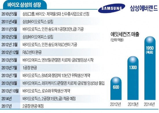 電子의 생산관리 DNA 전수…에버랜드 '삼성 옥동자'로 키운다