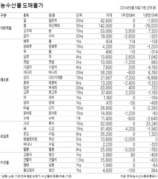 [농수산물 시세] 조업 금지 풀린 오징어 '풍년'…가격 내림세