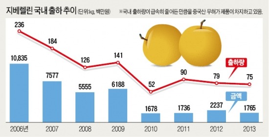 [경찰팀 리포트] 중국산 농약 싼 맛에…"국산 쓰는 배 농가 10곳 중 1~2곳 불과"