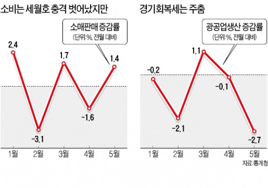 [5월 경제지표 혼조] 흐릿해진 경기회복세…광공업생산, 금융위기 후 최대폭 감소