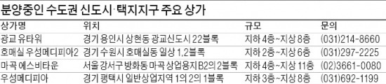 신도시 상가투자, 역세권 갖추면 '금상첨화'