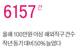 100만원짜리도 '클릭'…통 큰 해외직구족 급증