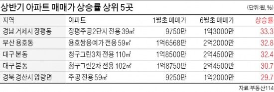 집값 많이 뛴 아파트 10곳 '지방 싹쓸이'