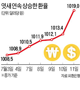 환율 달러당 1019원까지 급등…포르투갈 위기 여파