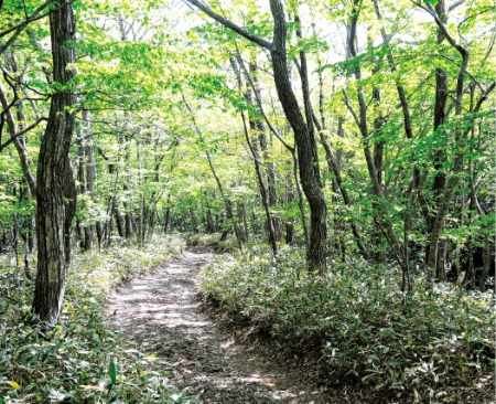 [여행의 향기] 섬의 숨은 비경들 '리얼 제주' 맛봐봅서