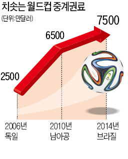 지상파 3사, 300억 적자…'월드컵 장사' 공쳤다