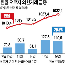 환율 오르자…외환시장 모처럼 '북적'