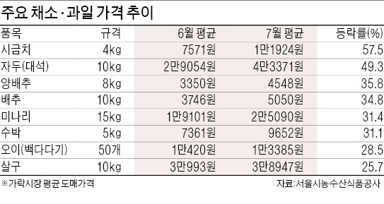 폭염에 폭등하는 채소값…한달새 시금치 57%·오이 28% 급등