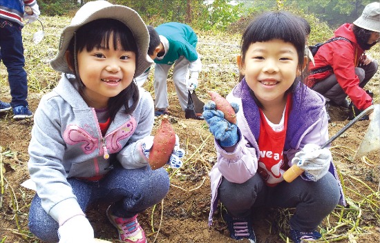 [Farm Stay] 경기 넓은들마을, 고구마 캐고 떡 찧고…고향의 맛·멋 물씬~