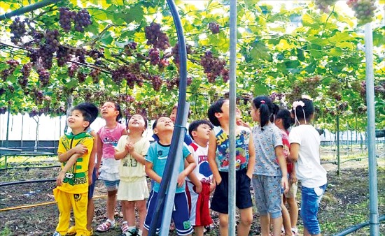 [Farm Stay] 광주 금곡 무등산수박마을, 무등산 수박 한 입 베어물고…두부 만들기·도자기 체험…하루가 '금방'