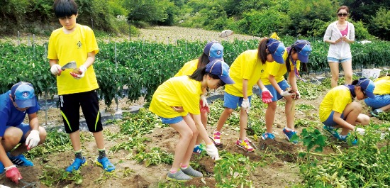 [Farm Stay] 경기 초롱이둥지마을, 미원천 물놀이 감자 캐고 메뚜기 잡고… 