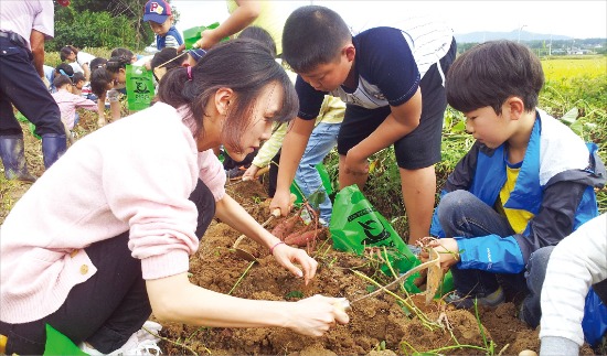 [Farm Stay] 전남 나주 이슬촌마을, 병풍 둘러싸인 평야…보리개떡 '별미'