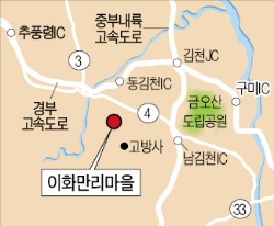 [Farm Stay] 경북 이화만리마을, 자두꽃길 걷고 백로 보고
