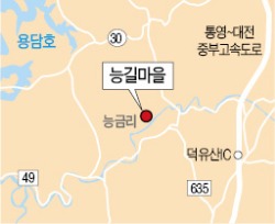 [Farm Stay] 진안 능길마을, 약초 따고 천연염색까지…이색 체험 풍성