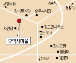 [Farm Stay] 충북 오박사마을, 친환경 너른 들판과 시원한 숲길…감자 캐고 활 쏘고 떡 만들고…하루가 짧네