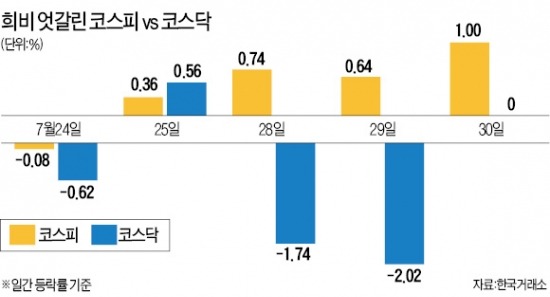 '초대받지 못한 손님' 중소형株