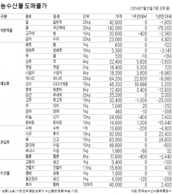 여름 채소 풍년…오이값 1년새 50% '뚝'