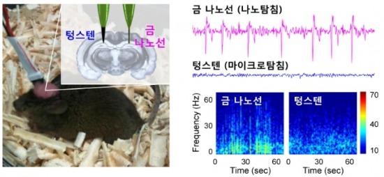 /KAIST가 개발한 금나노탐침