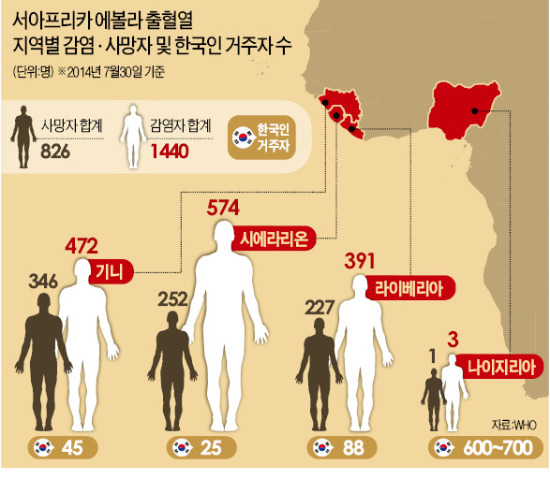 [에볼라 공포 확산] 발병 위험지역에 한국인 800여명 거주…"감염여부 철저 관리"